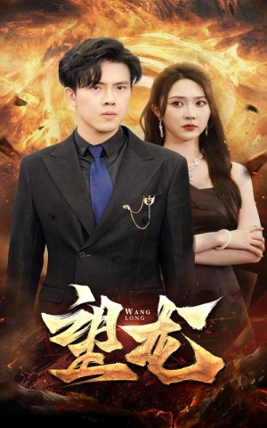 《望龙》(72集)