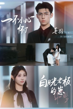 一不小心怀了白月光老板的崽（66集）