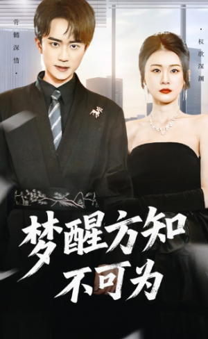 梦醒方知不可为（49集）