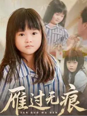 雁过无痕（64集）