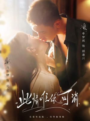 此情唯你可消（80集）