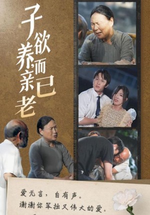 子欲养而亲已老（子欲养，而亲已老）（58集）