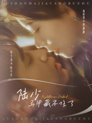 陆少马甲藏不住了（63集）