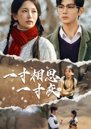 一寸相思一寸灰（43集）