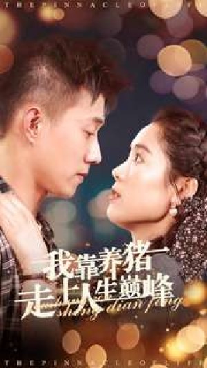 我靠养猪走上人生巅峰（60集）