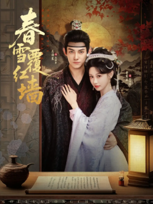 春雪覆红墙（84集）