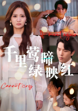 千里莺啼绿映红（63集）