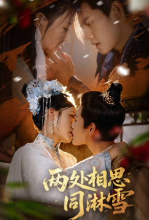 两处相思同淋雪（60集）