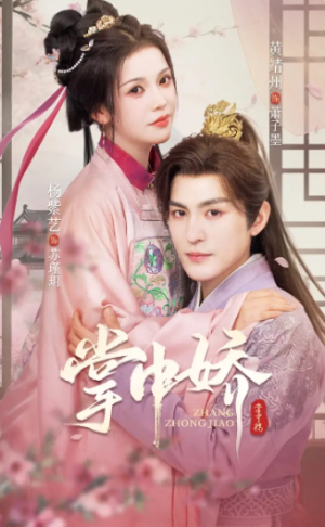 掌中娇（94集）