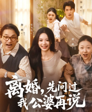 离婚先问过我公婆再说（96集）