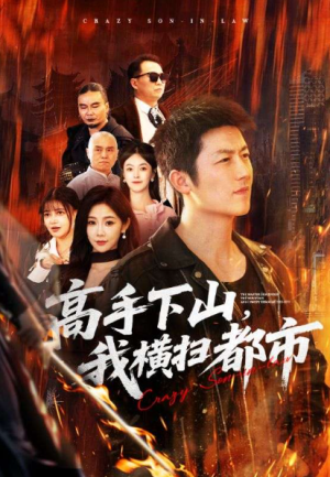 高手下山我横扫都市（69集）