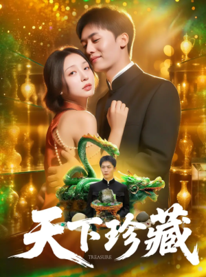 天下珍藏 (105集) 