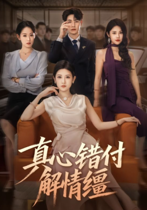 真心错付解情缰（71集）