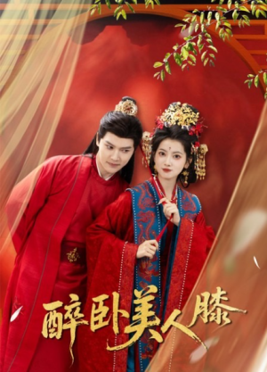 醉卧美人膝（66集）