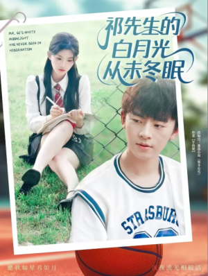 祁先生的白月光从未冬眠 (80集) 