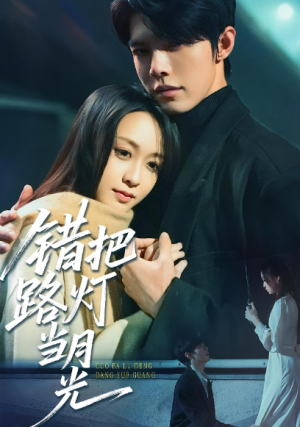 错把路灯当月光（40集）