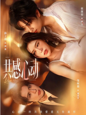 共感心动（66集）
