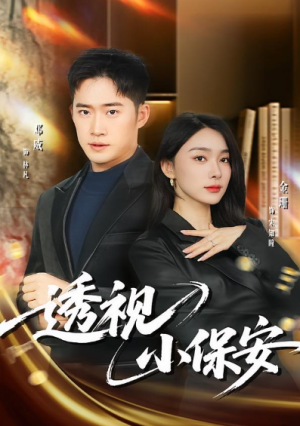 透视小保安（80集）