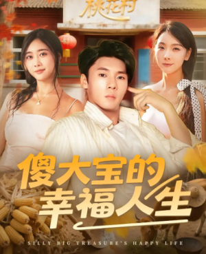 傻大宝的幸福人生（80集）