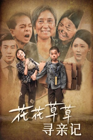 《花花草草寻亲记》（42集）