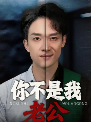 你不是我老公（35集）