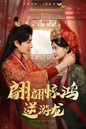 翩翩惊鸿逆游龙（60集）