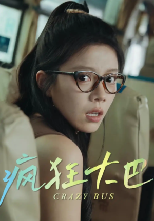 疯狂大巴（30集）