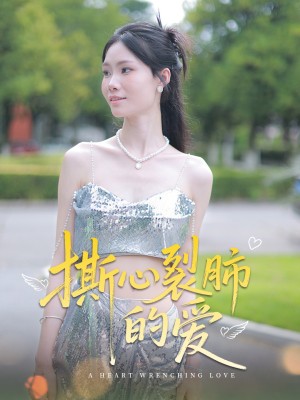撕心裂肺的爱（17集）