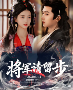 将军请留步（64集）