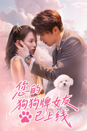 您的狗狗牌女友已上线（60集）