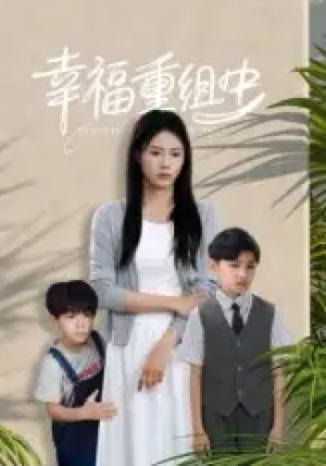 幸福重组中（96集）