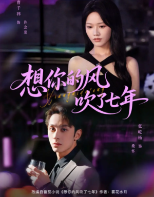 想你的风吹了七年（82集）