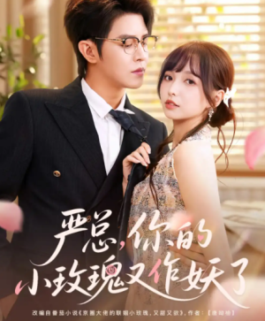 严总你的小玫瑰又作妖了（77集）