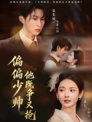 偏偏少帅他既争又抢（55集）