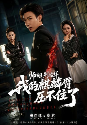 师姐别这样我的麒麟臂压不住了（80集）