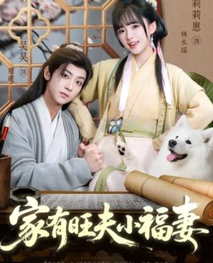 家有旺夫小福妻（93集）