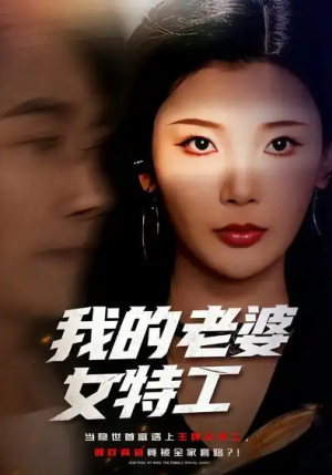 我的老婆女特工（62集）