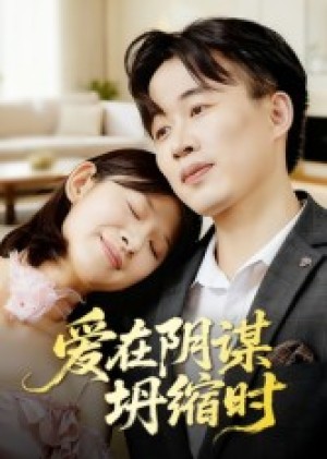 爱在阴谋坍缩时（21集）