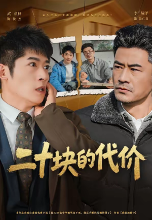 二十块的代价（64集）