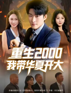 重生2000我带华夏开大（80集）
