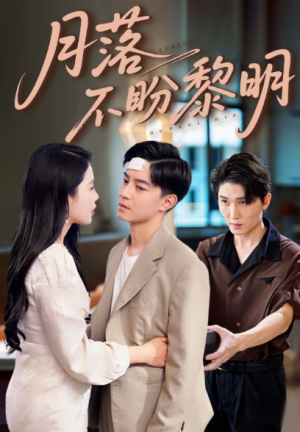 月落不盼黎明（64集）