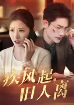 疾风起旧人离（32集）