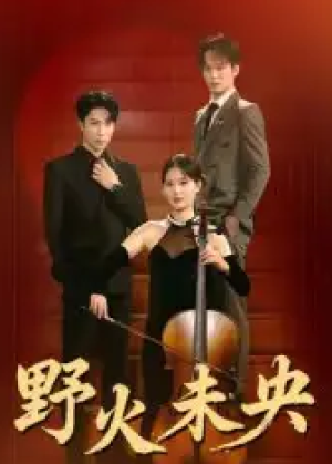 野火未央（40集）