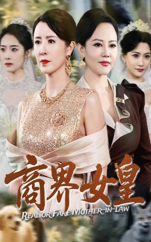 商界女皇（70集）