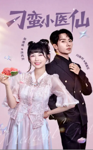 刁蛮小医仙（62集）