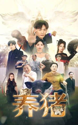 养猪（74集）