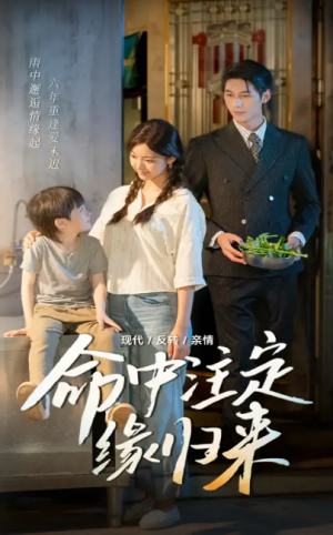 命中注定缘归来（63集）