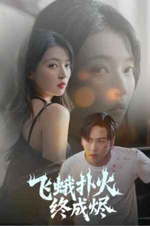 飞蛾扑火终成烬（60集）