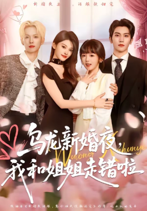 乌龙新婚夜我和姐姐走错啦（59集）