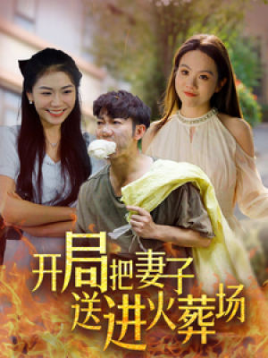 开局把妻子送进火葬场（45集）